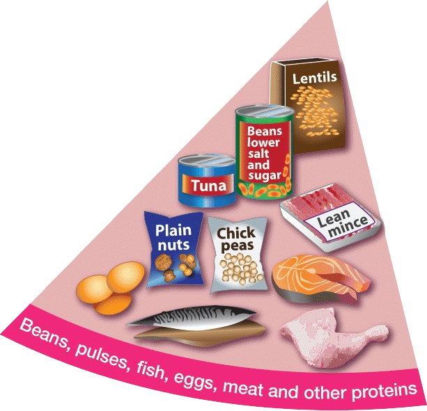 Eatwell Pink Example of proteins, including lentils, beans, tuna, nuts, chick peas, mince, fish, lean meat and eggs