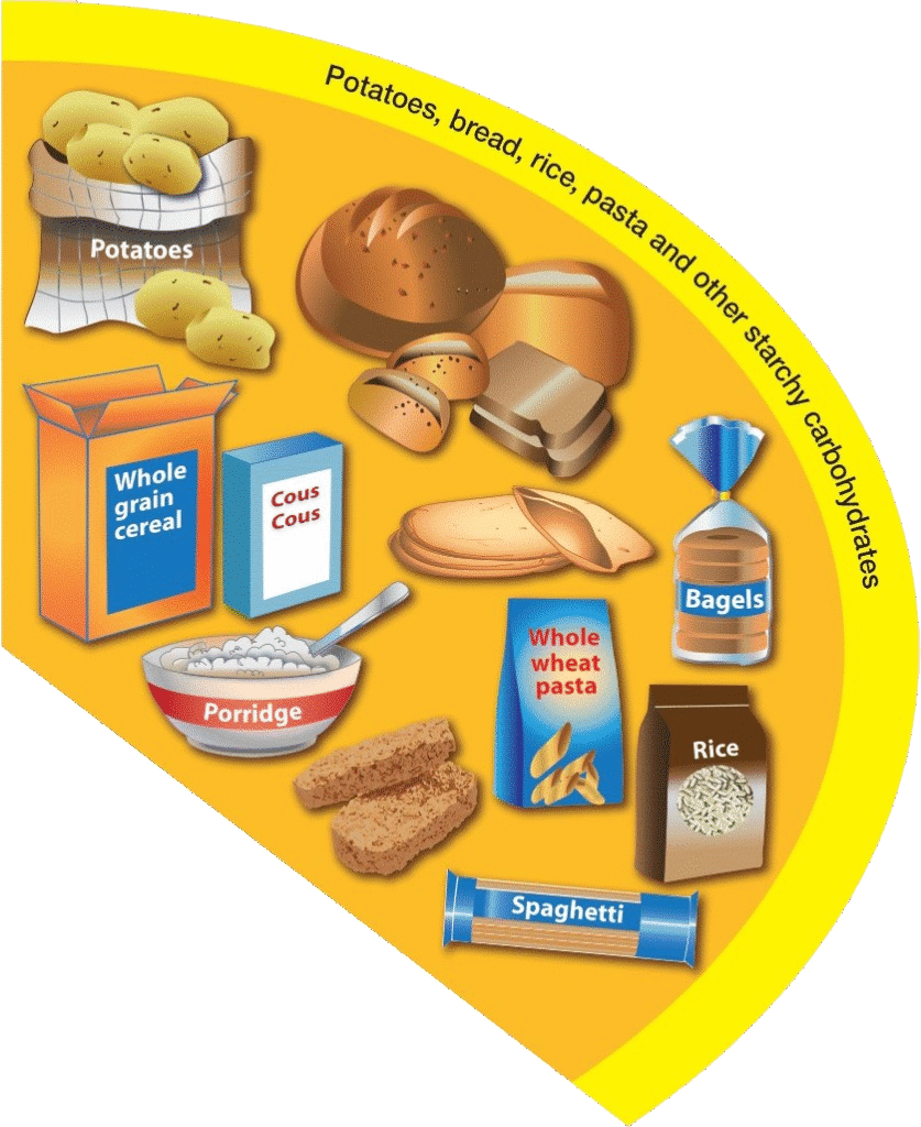 Eatwell Yellow Example of starchy carbohydrates, including bread, potatoes, cereal, porridge and pasta