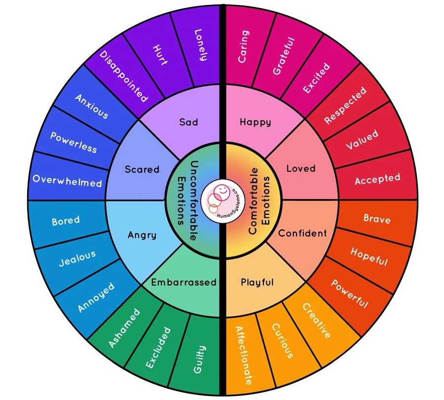 Emotion wheel, showing how many different emotions we can feel, sometimes more than one at a time