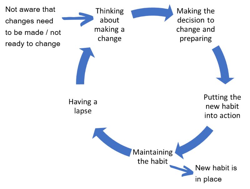 A circular diagram showing the Stages of Change: "Not aware that changes need to be made / not ready to change," "Thinking about making a change," "Making the decision to change and preparing," "Putting the new habit into action," "New habit is in place," "Maintaining the habit," and "Having a lapse." Arrows connect each stage in a continuous loop, showing that change is an ongoing process.