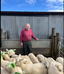Charles McAllister standing on his farm in Arran with lots of sheep in front of him.