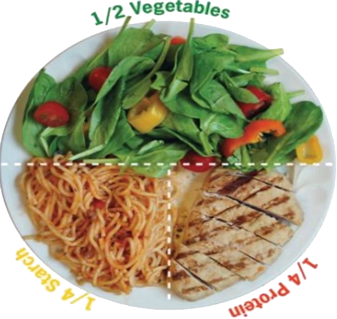 portion plate